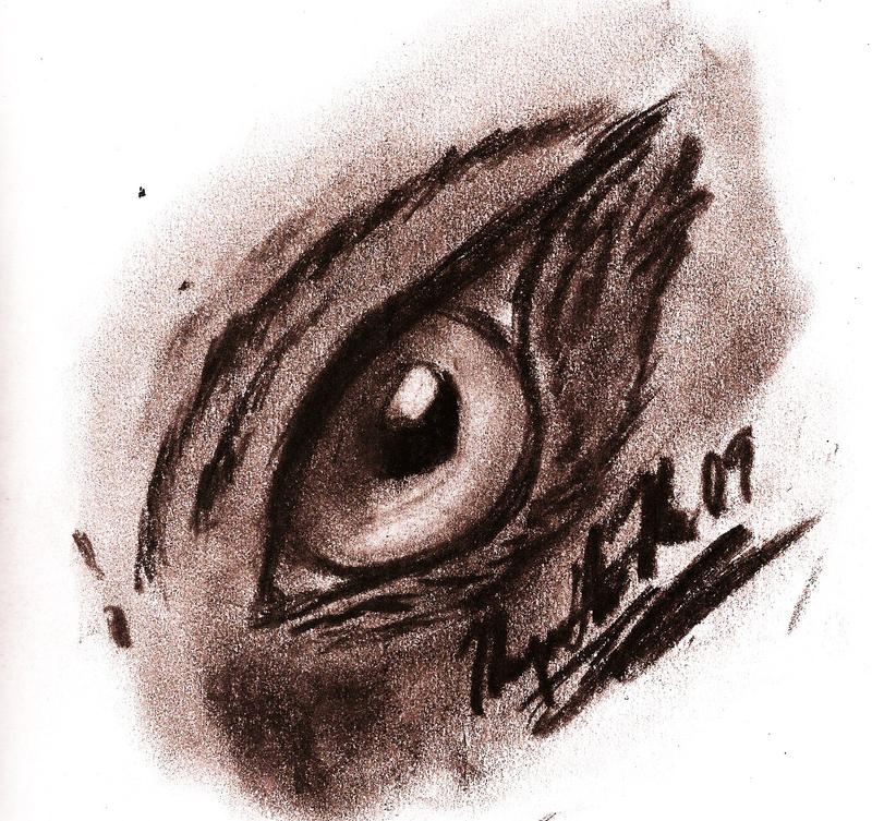 . : Animal Eye in Charcoal : .