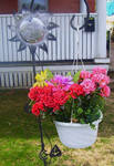 Potted Flowers by Toby-Linn