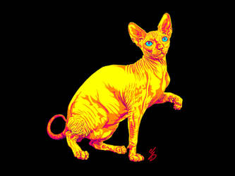 Acid Sphynx