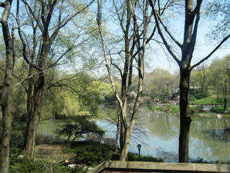 Central Park Over view