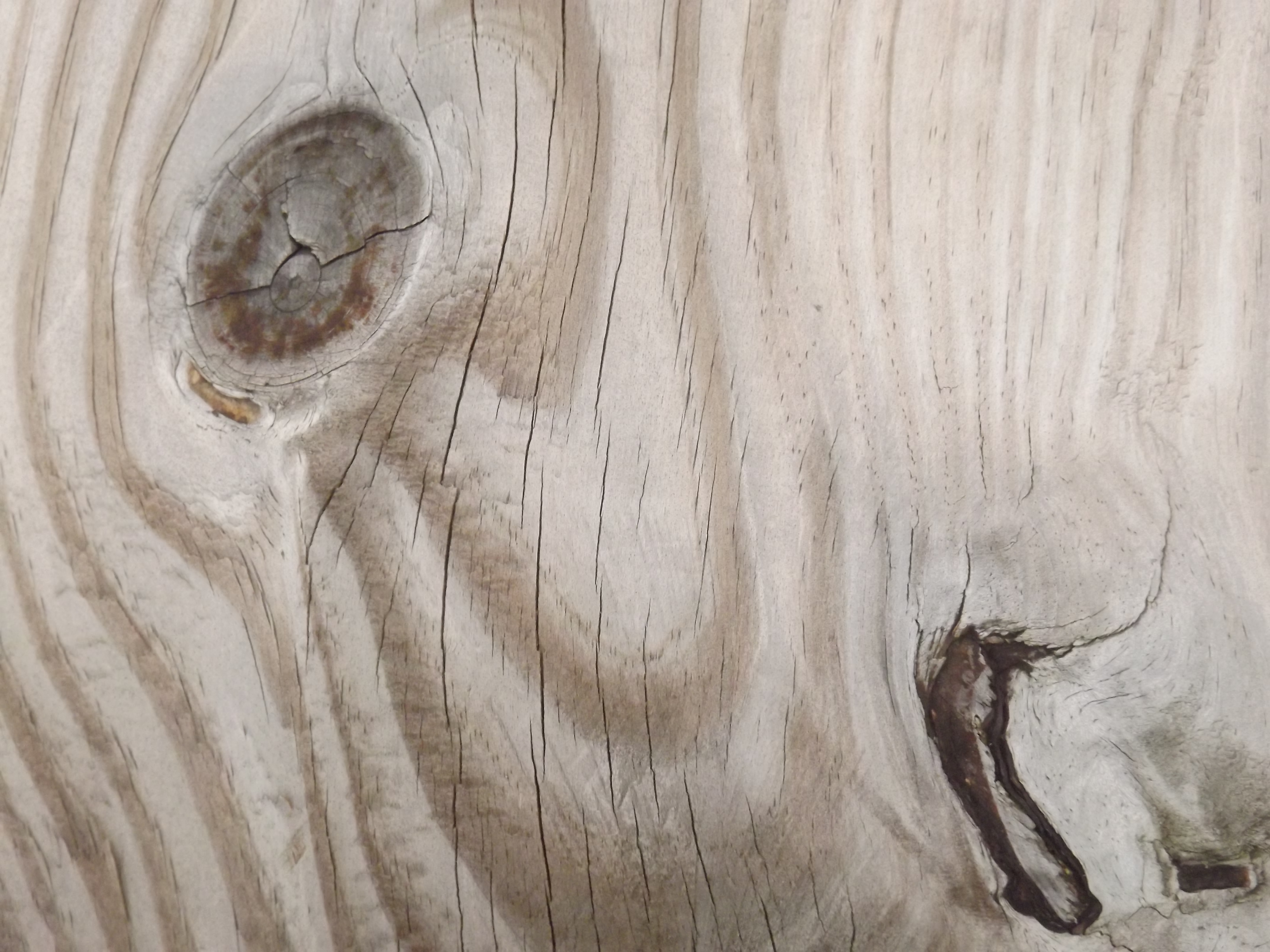 Wood Knot