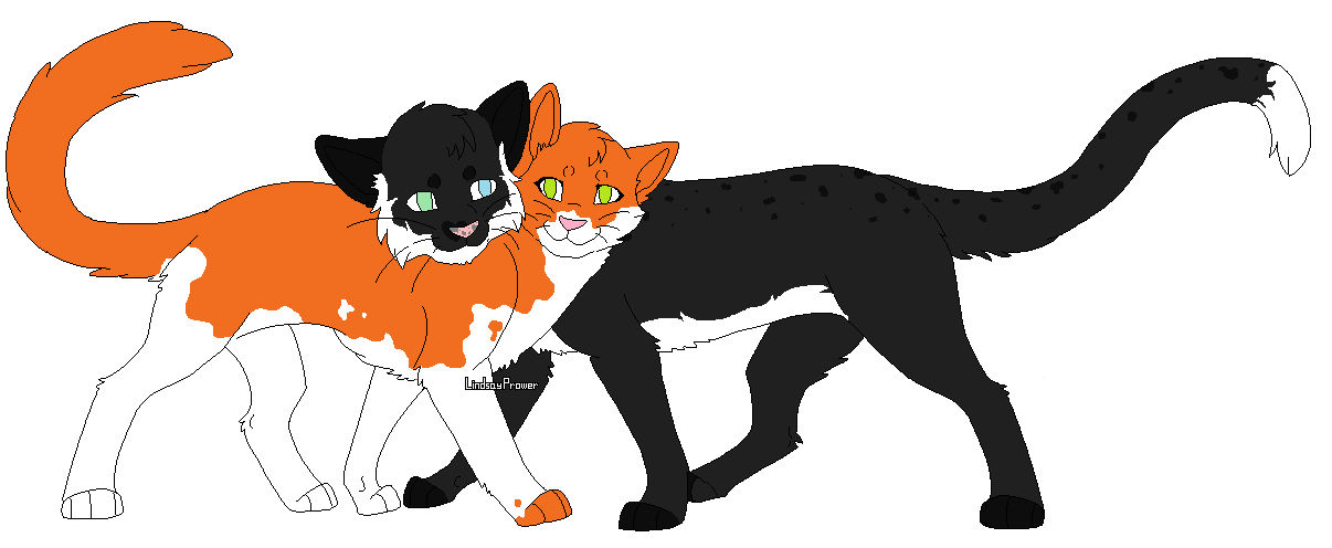 Young Love Warrior Cats By Angelhelenlourenco On Deviantart