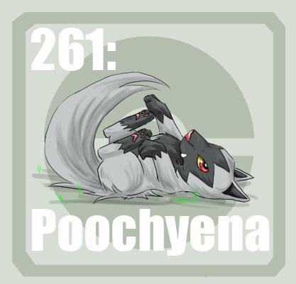 261 Poochyena