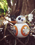 BB-8 on Adventure by Khallandra