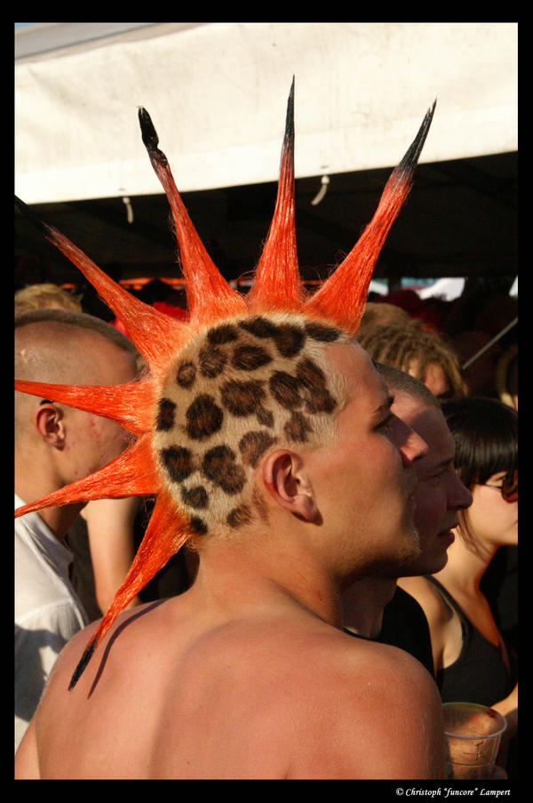 Funcore Collage More Hair_05 by funcore on DeviantArt