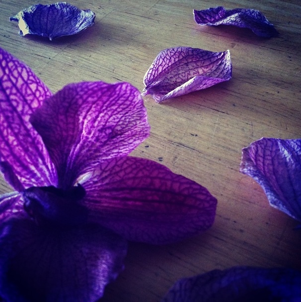 Flower Petals