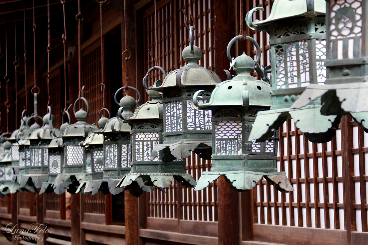 Nara - Japan