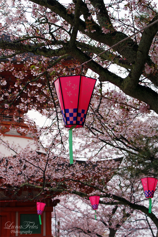 Miyajima III