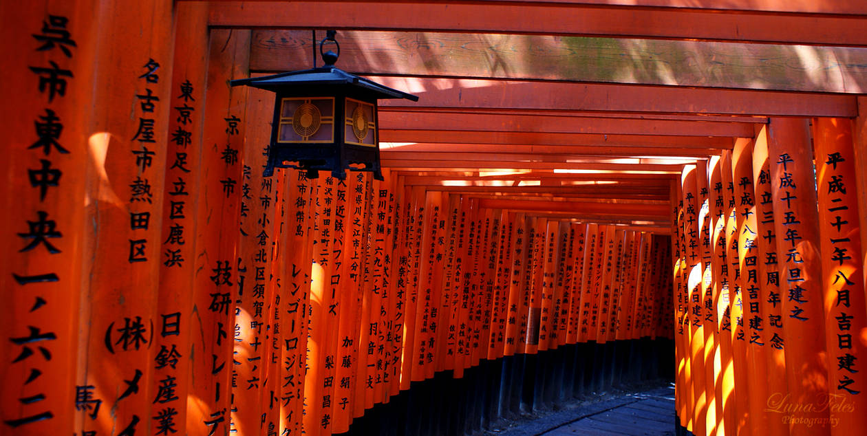 Fushimi Inari 02 by LunaFeles