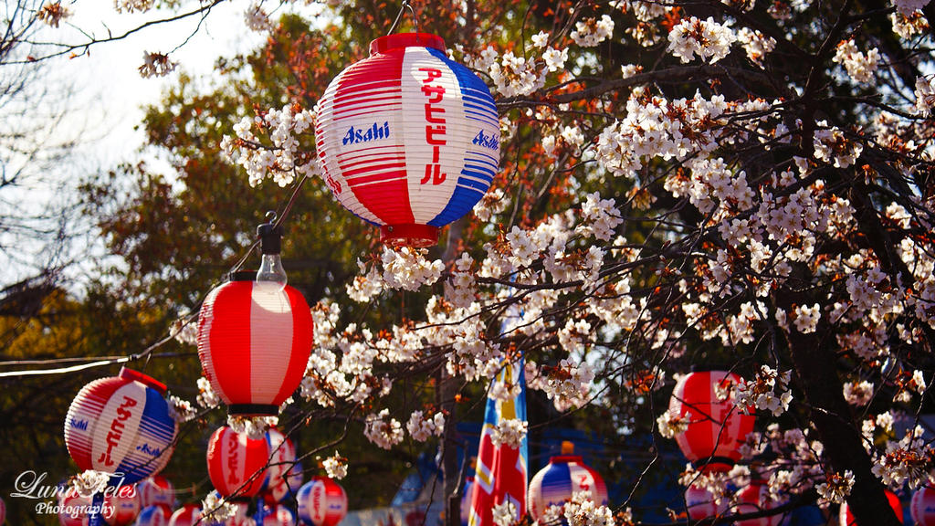 Maruyama-Park II