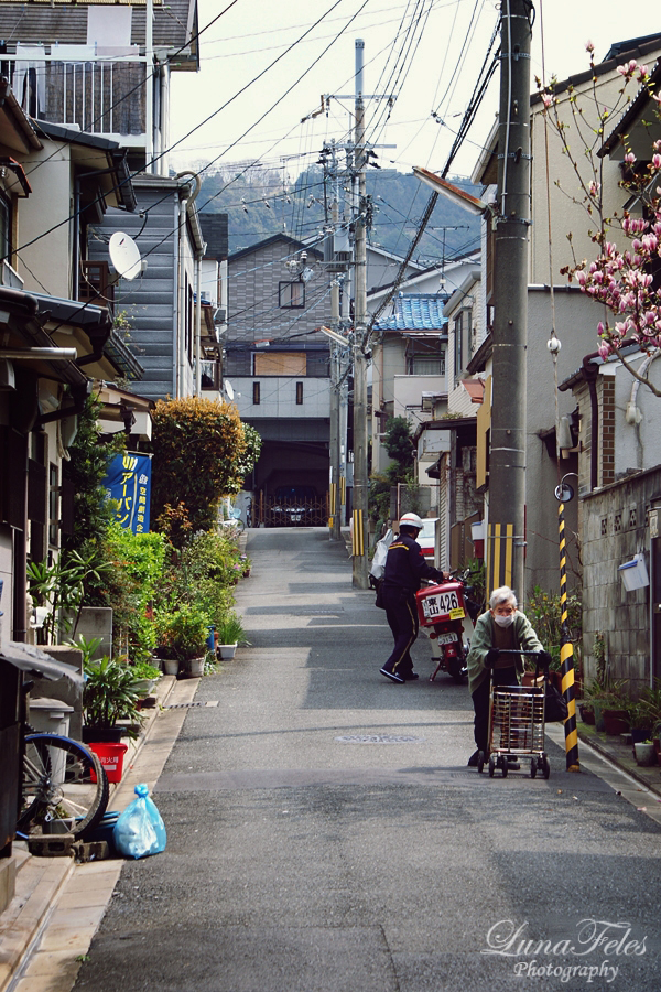 streets of Kyoto 16