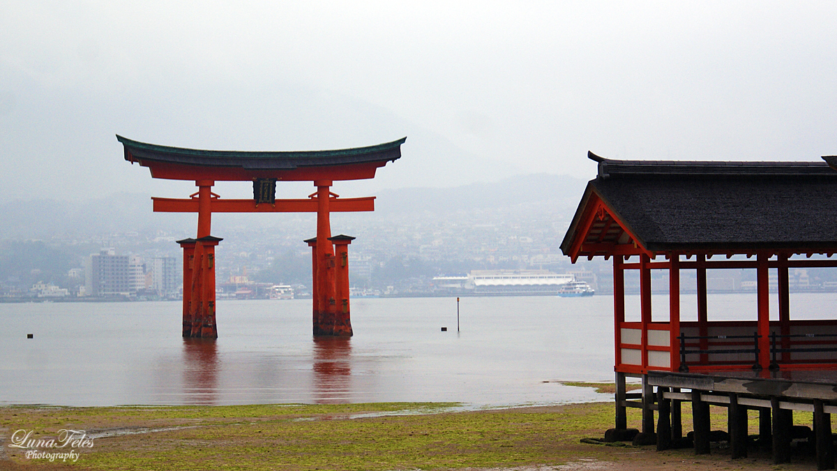 Miyajima XIII