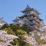 Himeji 6