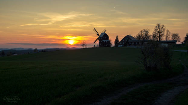 the windmill