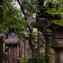 Lanterns in Nara