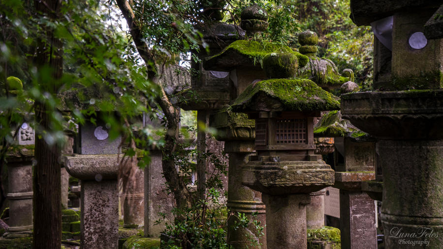 Lanterns in Nara