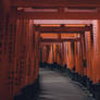The Torii of Fushimi Inari