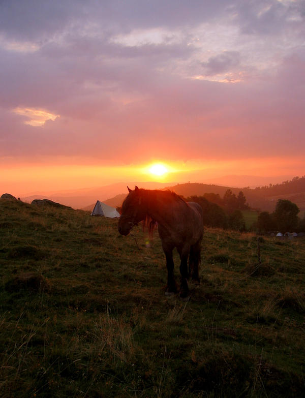 A horse with no name