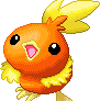 Torchic - Flemmli