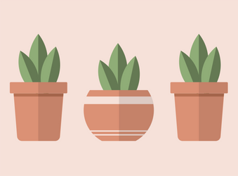 House Plants | Illustrator