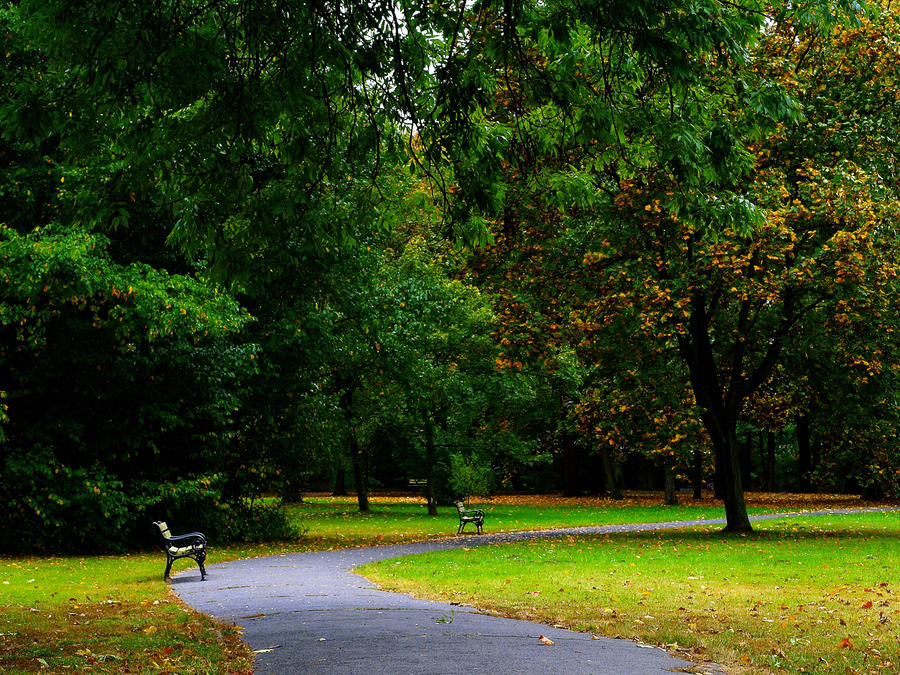 Park in Wilanow