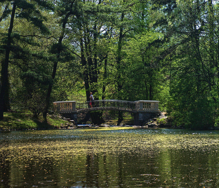 bridge over water