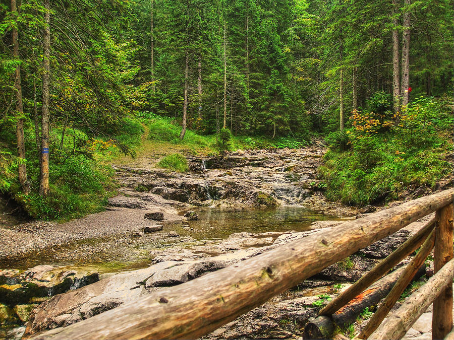 on the trail