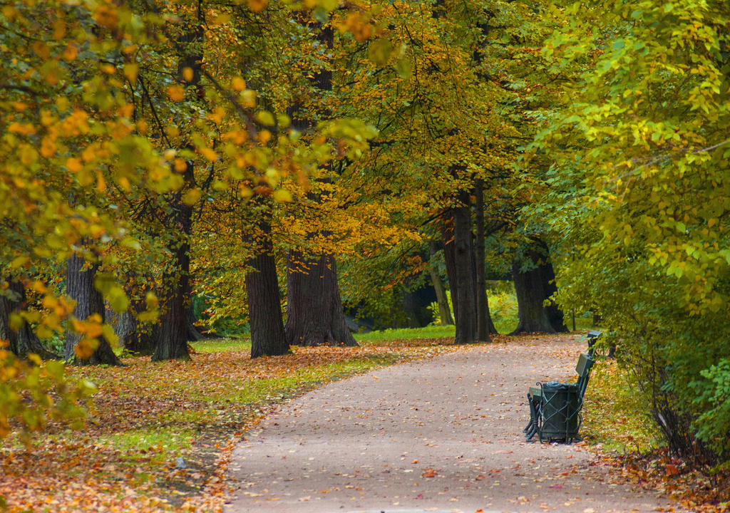park by HeretyczkaA on DeviantArt
