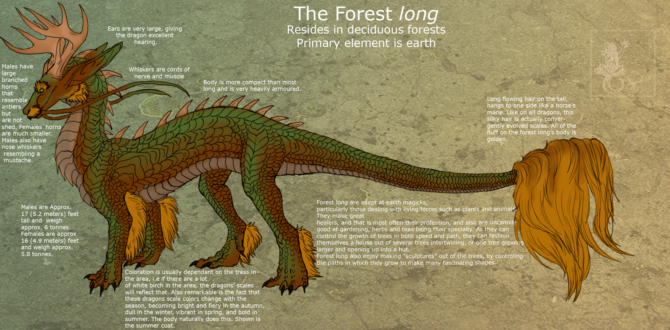 The Forest long species ref