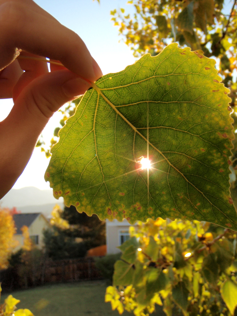 The Power of the Sun