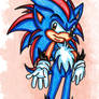 Video the Hedgehog