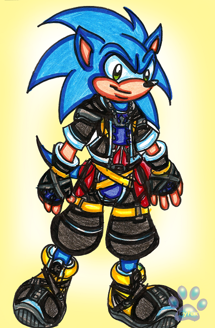 Sonic Hood by Soraply11 on DeviantArt