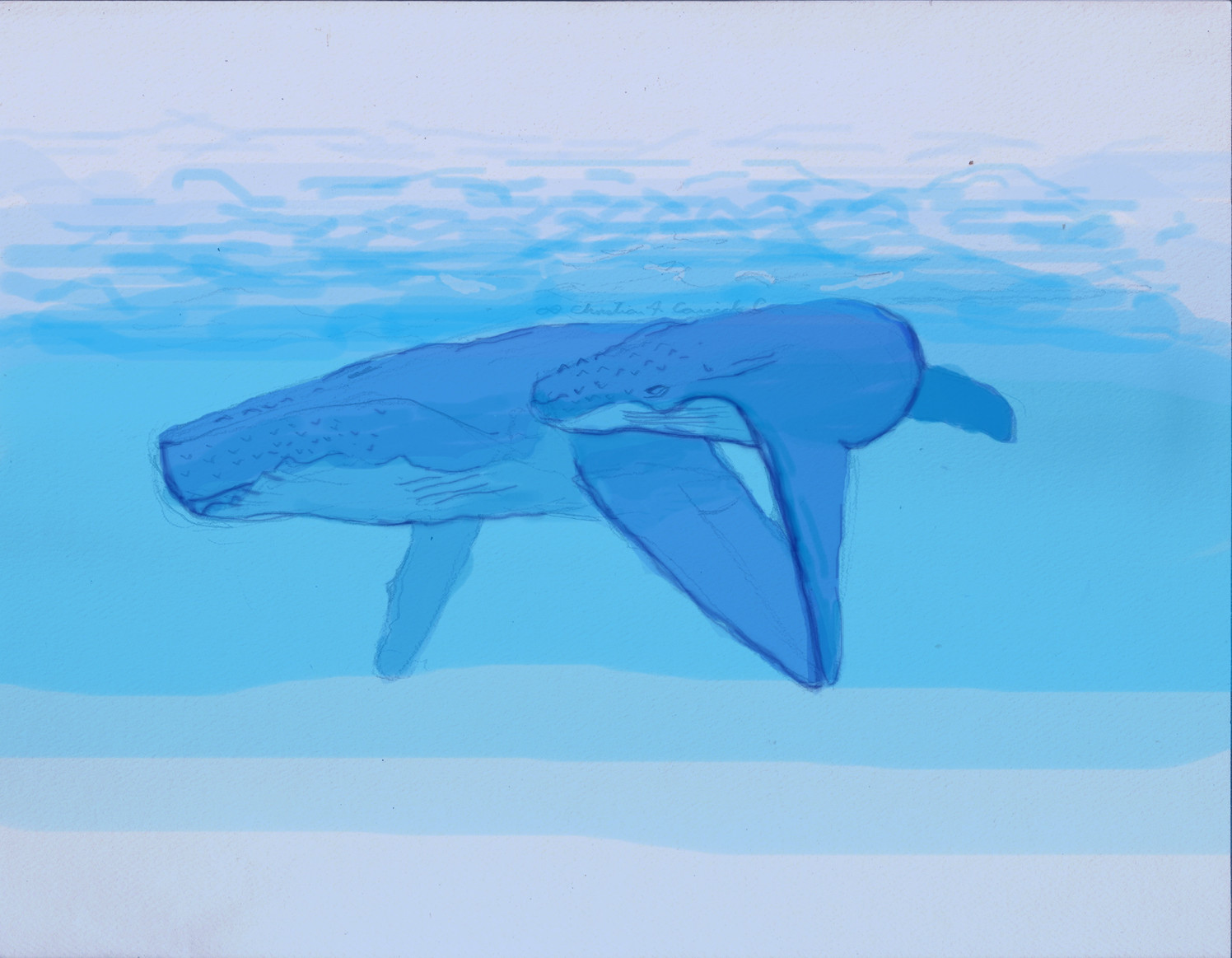 CHRSAB 772019 Ballenas 1 2172019