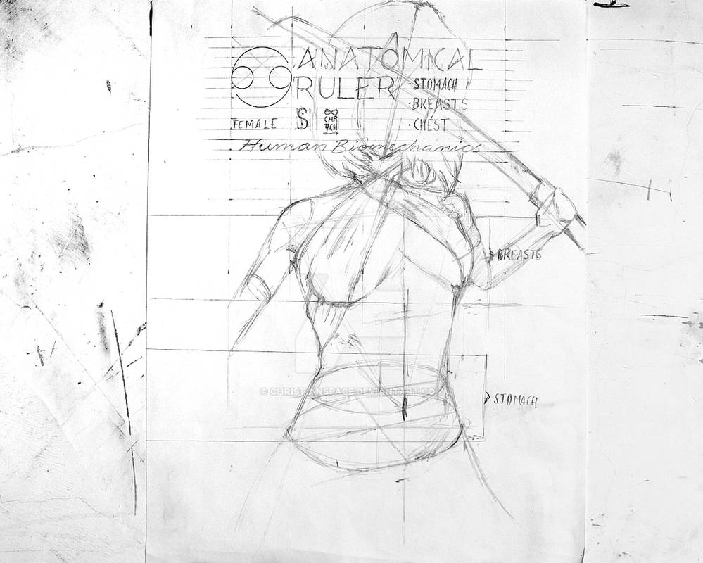 Anatomical Ruler CANCER Anatomical Ruler | Female by ChristianSPACE on DeviantArt