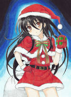 Shana Christmas 2019