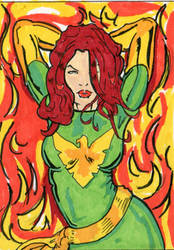 phoenix card