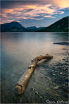 Driftwood by Philippe-Albanel