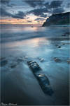 Relic by Philippe-Albanel