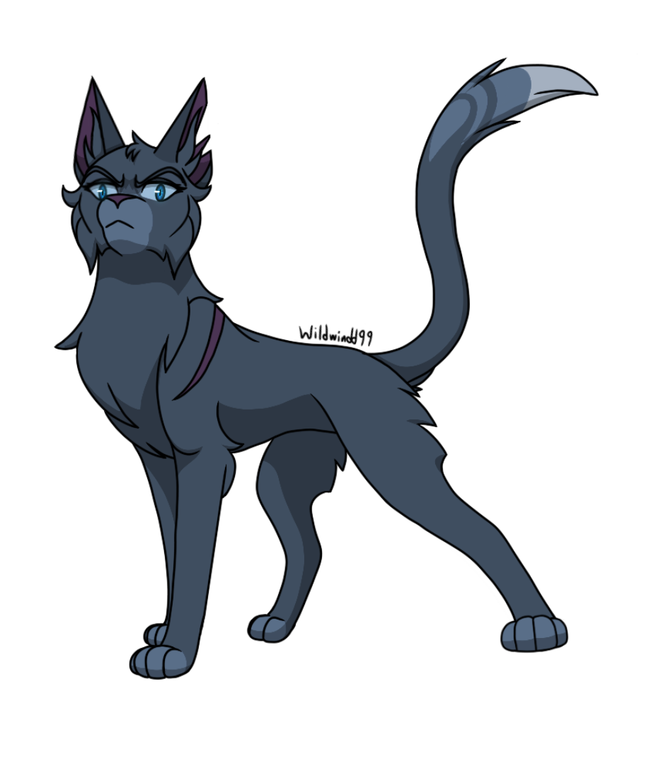 Bluestar, Warriors Wiki