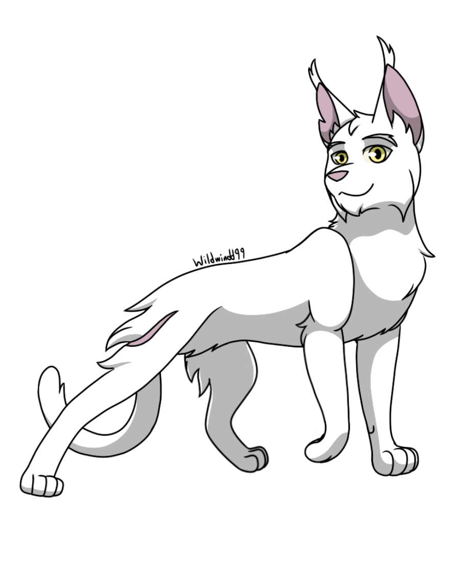 Warrior Cats Semi-Realistic by wildwindd99 on DeviantArt