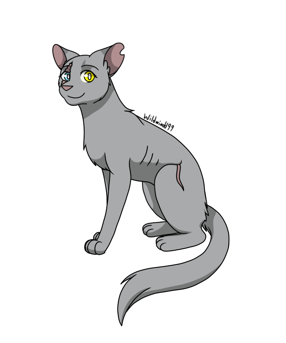 Eigene Charaktere on WarriorCats-Wiki - DeviantArt