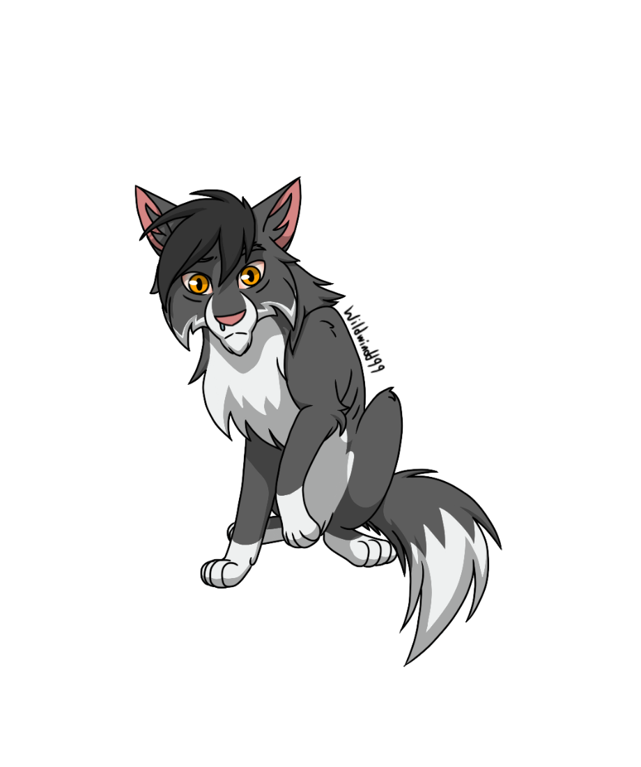 Eigene Charaktere on WarriorCats-Wiki - DeviantArt