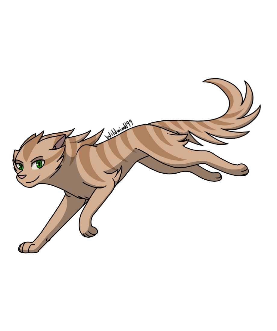 Warrior Cats Animated Picture Codes and Downloads #98065048,488884307