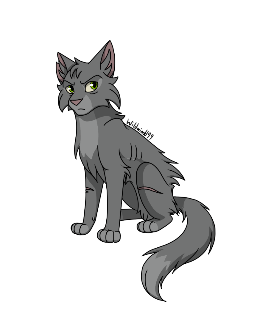 Warrior Cat Character #35: Ashfur (Shadowclan) by wildwindd99 on DeviantArt