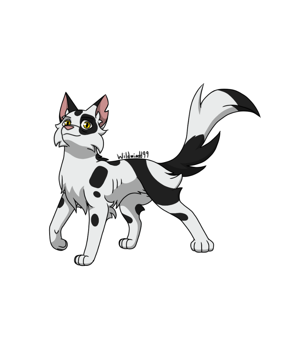 Warrior Cat Character #35: Ashfur (Shadowclan) by wildwindd99 on DeviantArt