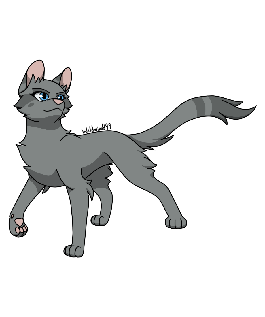 warriors cat stuff — t4wnyclaw: warrior cat wiki says ashfoot is the