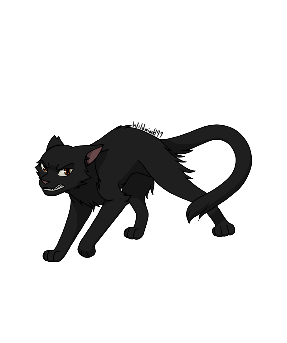 Juniperclaw Warrior Cat Character #46: Blackclaw by wildwindd99 on DeviantArt