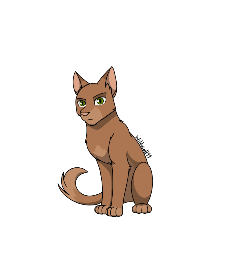 Warrior Cat Character #2: Oakheart by wildwindd99 on DeviantArt