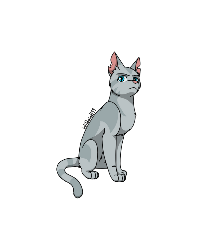 Warrior Cat Character 81 Boulder by wildwindd99 on DeviantArt