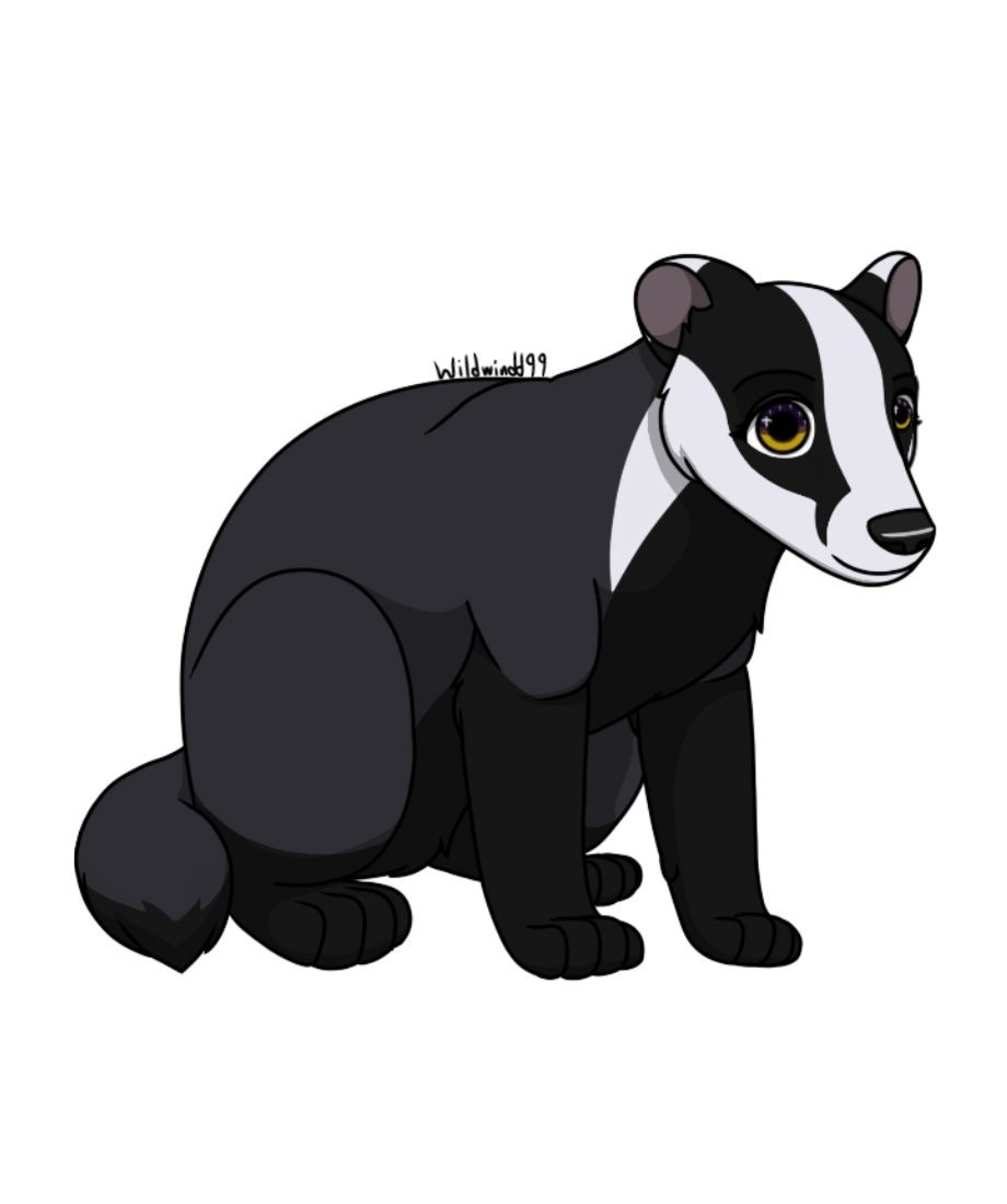 Midnight the Badger